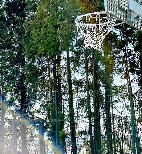 Bernstein Nordhelle 2*